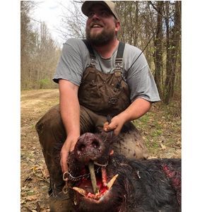 Meet your Posher, Frank